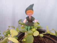 Gnomo_1